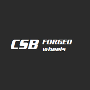 CSB轮毂