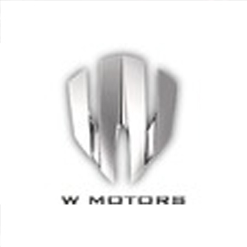 W Motors汽车公司